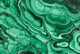 Flowery Polished Malachite Slab - DR Congo #360767-1